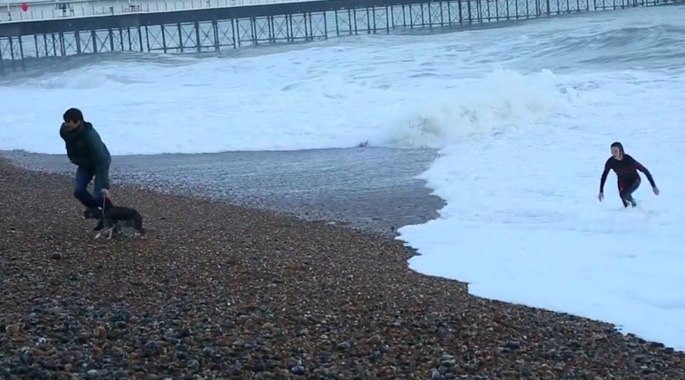 <em>The fully clothed woman managed to grab the dog before a bystander dragged it to safety (SWNS)</em>