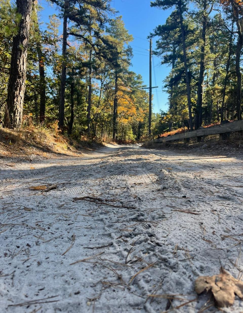 A sand road leading to the Apple Pie Hill fire tower, which is the highest point in the Pine Barrens. The tower is not open to visitors.