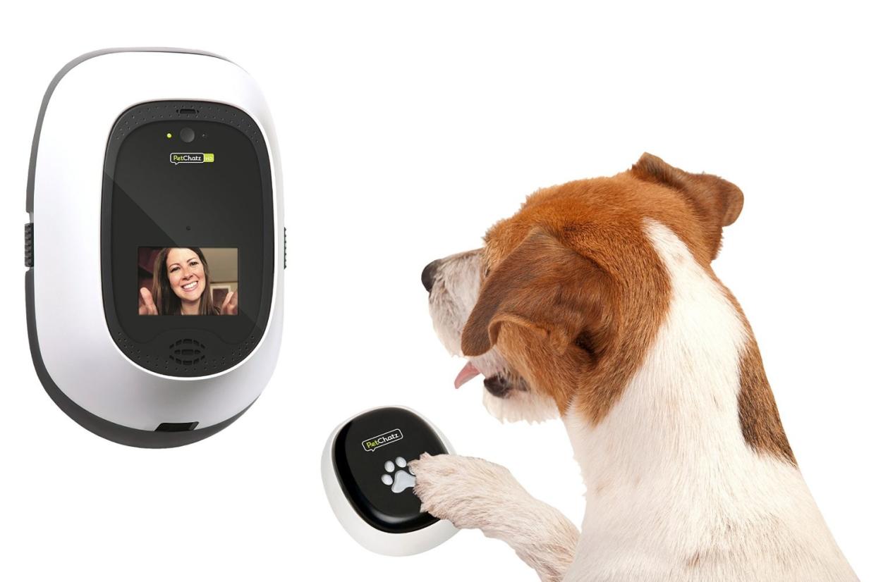 petchatz hd videophone