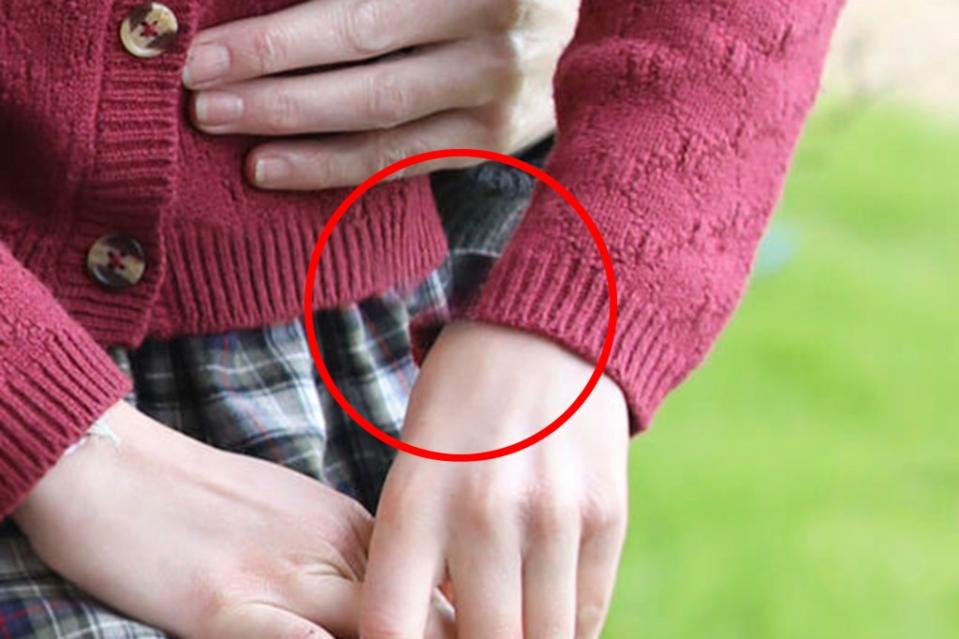 Fans quickly noticed part of Princess Charlotte’s arm seems to be missing. The Prince and Princess of Wales/Instragram