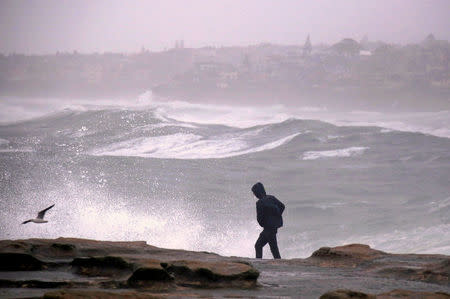 A man walks along a cliff as large waves batter the coastline in severe weather bringing strong winds and heavy rain hits the eastern coast of Australia near Coogee Beach in Sydney, June 5, 2016. REUTERS/David Gray