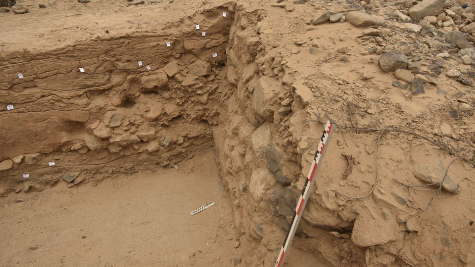 We see an excavated inside corner of the stone wall with a measuring stick by it.