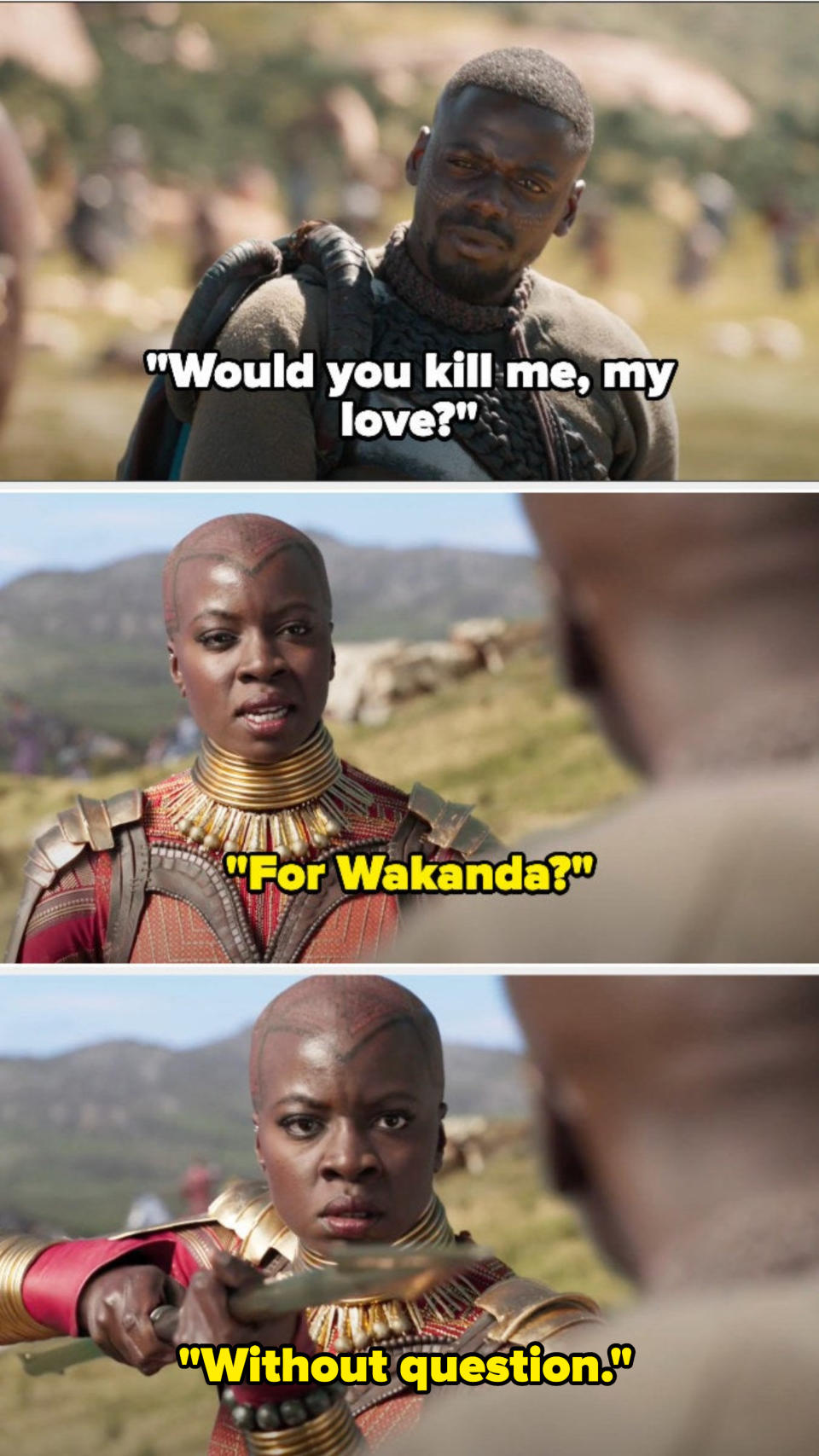 W'Kabi: "Would you kill me my love?" Okoye: "for Wakanda? without question"