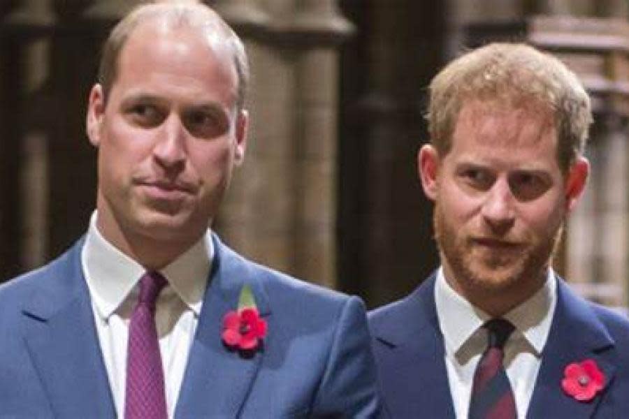 Príncipe Harry afirma que su relación con William hubiera sido mejor si hubieran consumido drogas juntos 