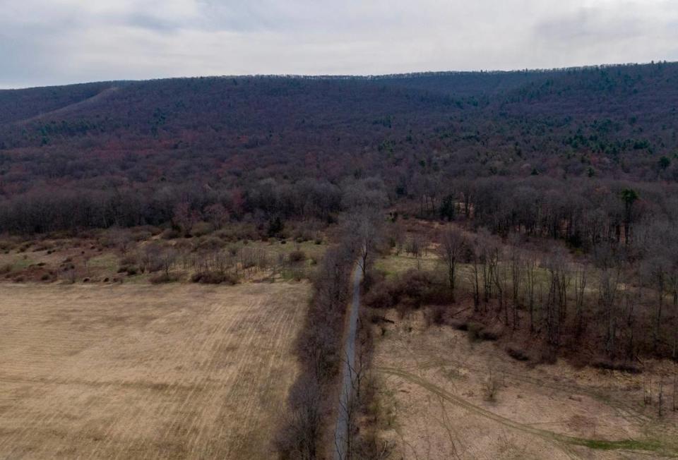 The start of the Musser Gap trail, which will connect to 53 new miles of trails in Rothrock State Forest is pictured on Thursday.