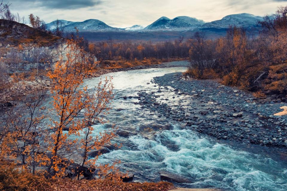 Der Nationalpark Abisko liegt in Schweden und erstreckt sich auf einem Gebiet von etwa 250 Kilometer nördlich des Polarkreises. Die einzigartige Landschaft zeigt arktische Wälder, Fjorde, mächtige Berge um das Abisko-Tal, Schluchten und Seen. Vor allem im Winter beeindruckt das Naturphänomen der Polarlichter. Das Schutzgebiet bietet Lebensraum für Elche, Polarfüchse und Luchse. (Bild: iStock/Svetlana Krayushkina)