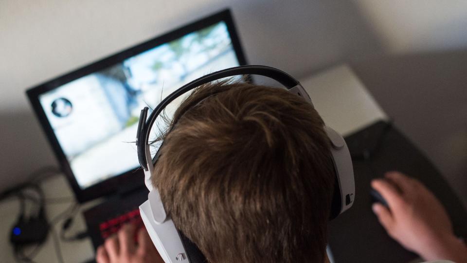 Auf der Spiele-Plattform «Steam» kommen neue Einstellungen hinzu, die mehr Privatsphäre ermöglichen. Foto: Lino Mirgeler