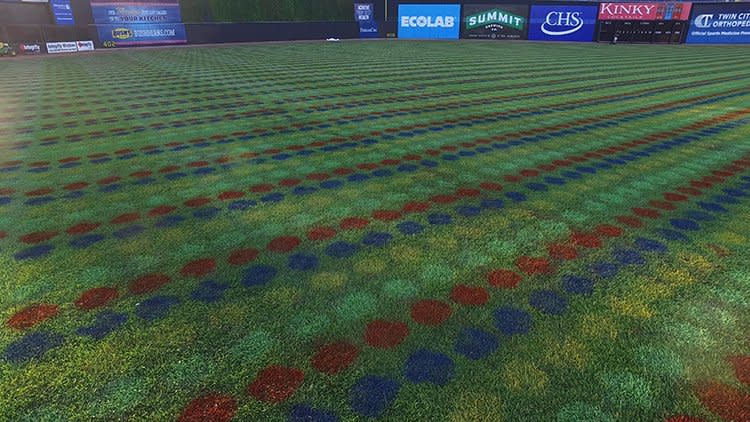 The St. Paul Saints painted 56,000 Twister dots on their baseball field. (@StPaulSaints)