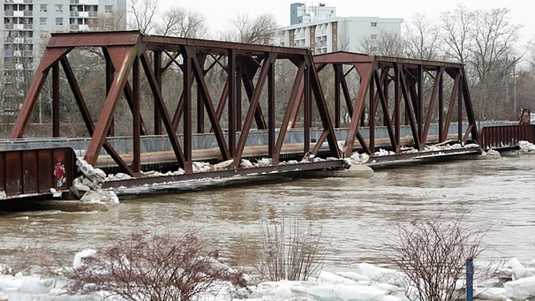 Brantford residents defy evacuation order to protect their homes