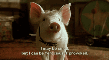 Babe saying "I may be small, but I can be ferocious if provoked" in "Babe: Pig in the City"