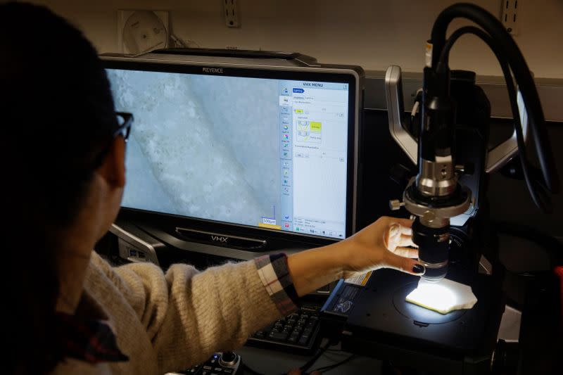 A research assistant uses a microscope to inspect a slice of a coral core recovered during a research trip in American Samoa in 2011 by Braddock Linsley inside of the Lamont-Doherty Earth Observatory of Columbia University in Palisades, New York