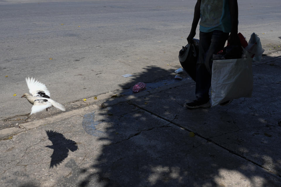 A bird casts a shadow on the sidewalk ouside the National Palace in Port-au-Prince, Haiti, Tuesday, April 30, 2024. (AP Photo/Ramon Espinosa)