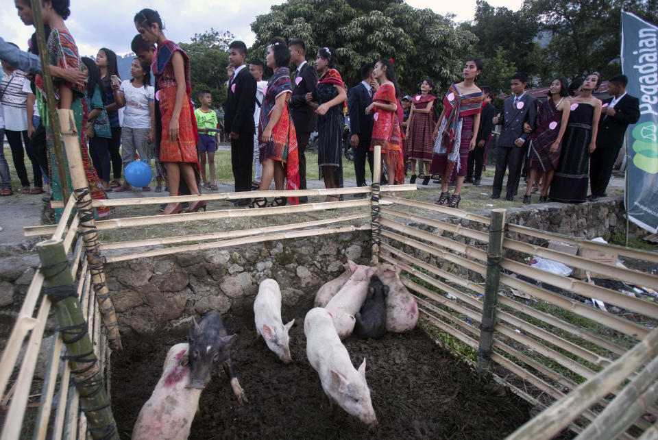 In this Friday, Oct. 25, 2019, photo, participants prepare to perform during a fashion show held as a part of Toba Pig and Pork Festival, in Muara, North Sumatra, Indonesia. Christian residents in Muslim-majority Indonesia's remote Lake Toba region have launched a new festival celebrating pigs that they say is a response to efforts to promote halal tourism in the area. The festival features competitions in barbecuing, pig calling and pig catching as well as live music and other entertainment that organizers say are parts of the culture of the community that lives in the area. (AP Photo/Binsar Bakkara)