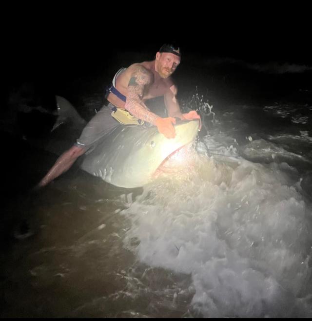 A monster': Texas man catches 12.5-foot tiger shark at Padre