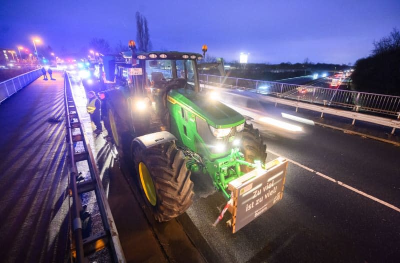 In Germany, like many places in Europe, farmers are protesting. While reasons differ from one place to the next, dissatisfaction with the way the EU pays subsidies is a common feature. Julian Stratenschulte/dpa