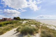 <p>The whole of this sandy beach is accessible to dogs between the end of September and beginning of May. At other times, all zones are open except between groynes 14A and 18, the area in front of the beach huts. It's a great place to take the dogs to stretch their legs – and yours. A family-friendly spot with gorgeous sand, this is one to sink your toes in.</p><p><a class="link " href="http://westwitteringestate.co.uk/" rel="nofollow noopener" target="_blank" data-ylk="slk:MORE INFO;elm:context_link;itc:0;sec:content-canvas">MORE INFO</a></p><p><strong>Where to stay: </strong>Set in West Wittering, <a href="https://www.booking.com/hotel/gb/willow-house-b-amp-b.en-gb.html?aid=2070935&label=sandy-beaches" rel="nofollow noopener" target="_blank" data-ylk="slk:Willow House B&B;elm:context_link;itc:0;sec:content-canvas" class="link ">Willow House B&B </a>has a terrace and garden views and offers guests a charming welcome and down-to-earth accommodation just a few miles from the sea.</p><p><a class="link " href="https://www.booking.com/hotel/gb/willow-house-b-amp-b.en-gb.html?aid=2070935&label=sandy-beaches" rel="nofollow noopener" target="_blank" data-ylk="slk:CHECK PRICES;elm:context_link;itc:0;sec:content-canvas">CHECK PRICES</a></p>