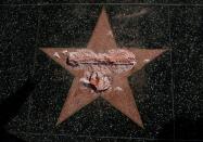 <p>Donald Trump’s star on the Hollywood Walk of Fame is seen after it was vandalised. (Reuters/Mario Anzuoni) </p>