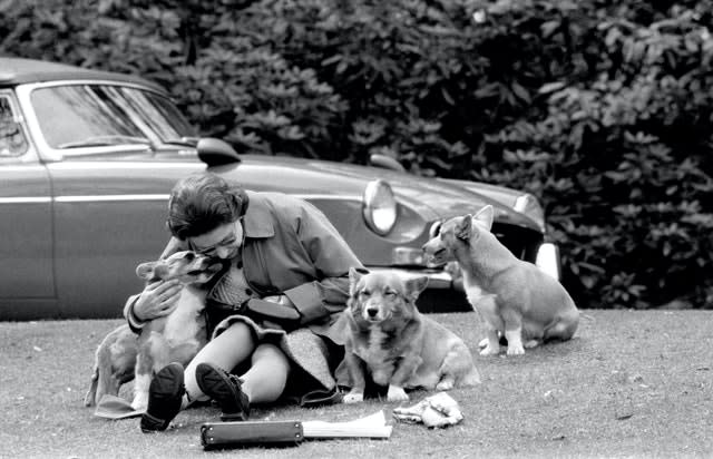 The Queen and her corgis