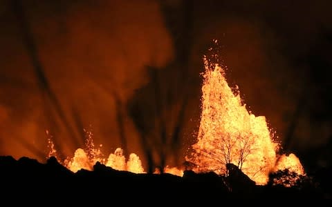 Lava explodes above a tree on Kilauea volcano near Pahoa, Hawaii - Credit: AP