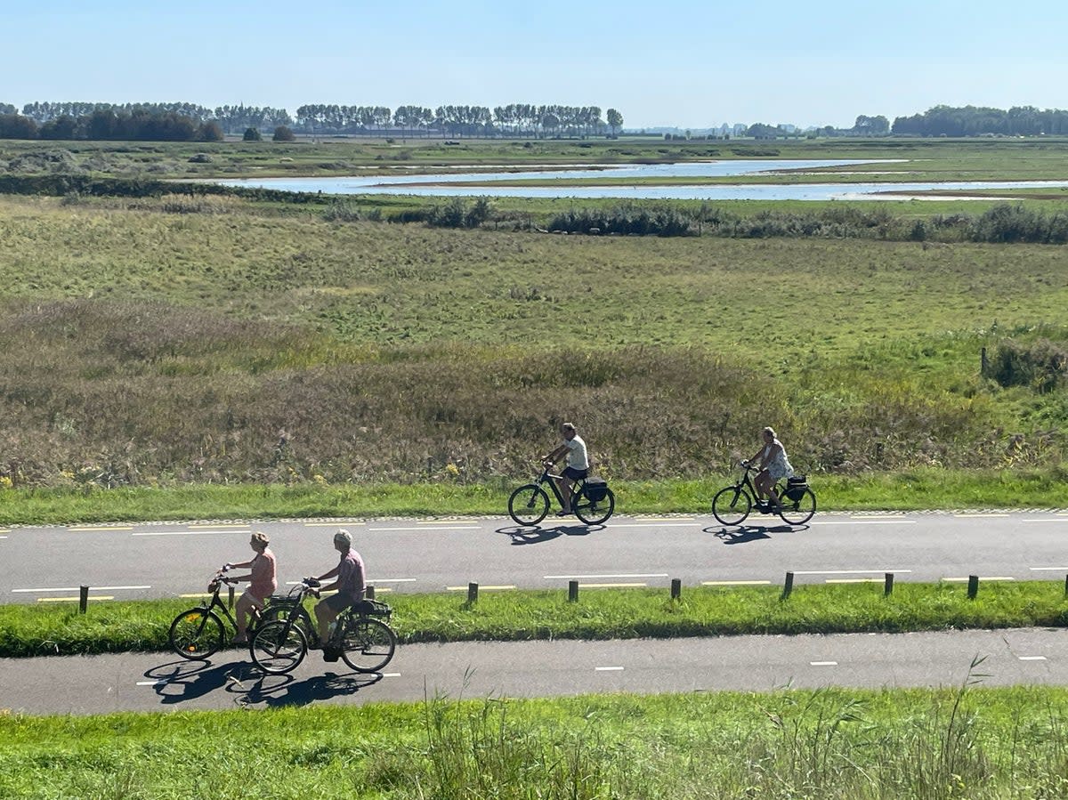 Taking the low road: Flat routes make this Dutch region a joy for relaxed cycling (Photos by Jini Reddy)