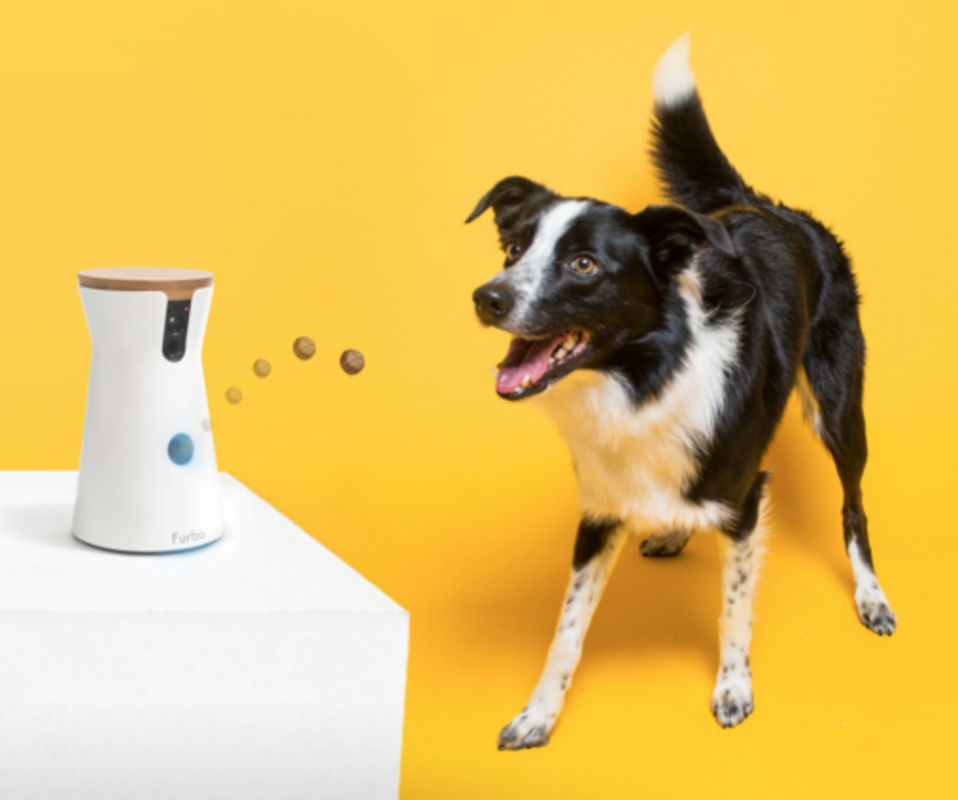 A smart device that lets you watch (and reward) your beloved pet from afar. Genius. (Photo: Amazon)