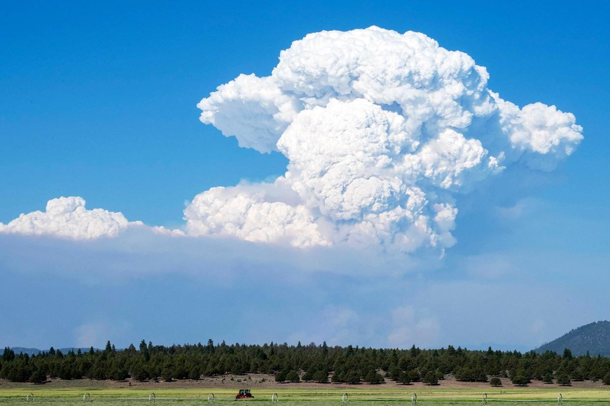 A pyrocumulus cloud from the Bootleg Fire drifts into the air near Bly, Oregon on July 16, 2021.