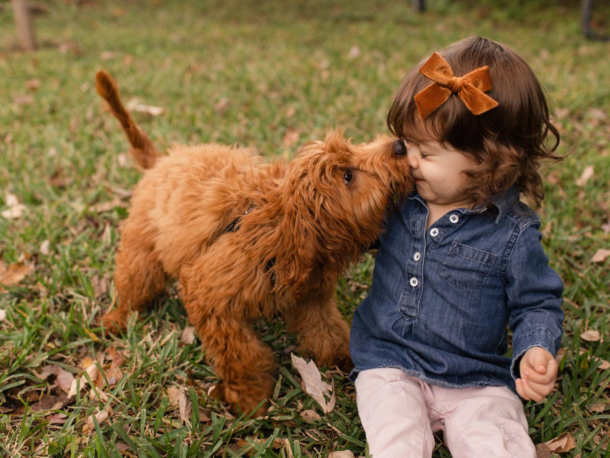 Little girl playing with small dog