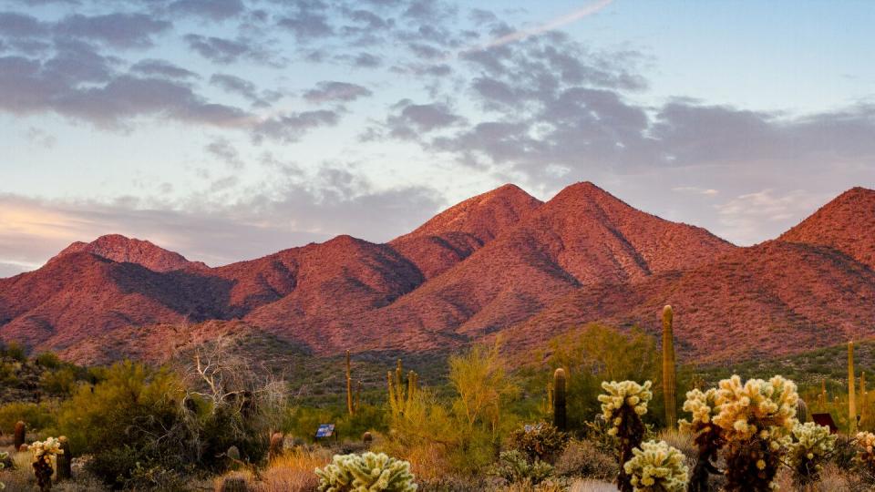 sunset light on the mountains