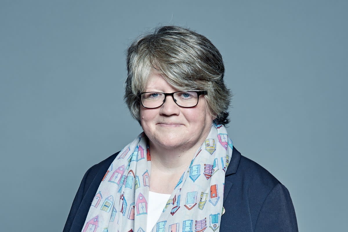 Therese Coffey is the new health and social care secretary. (Parliament)