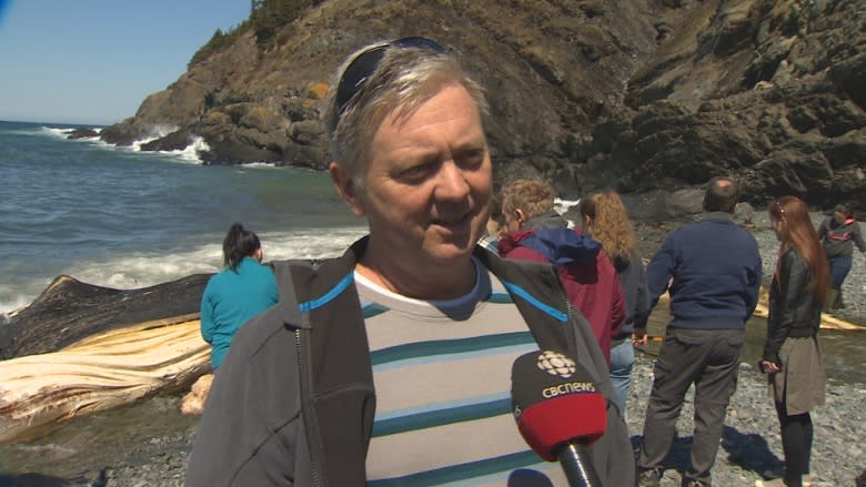 How do you solve a problem like a dead whale? Lack of help is 'scandalous,' says mayor