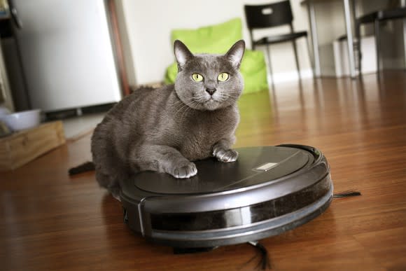 A gray cat with its paws on a robotic vacuum cleaner