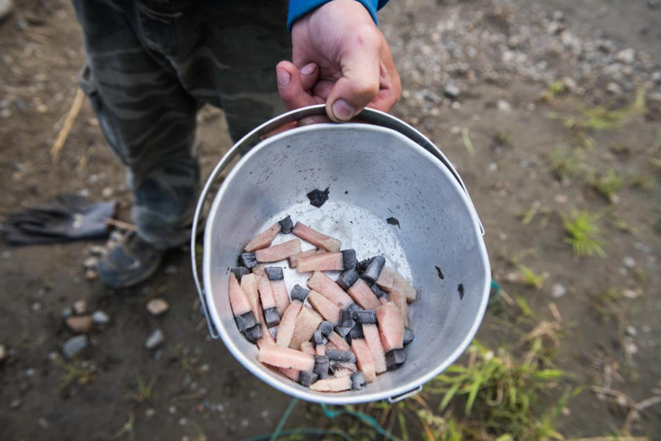 In this July 29, 2017 photo provided by KYUK-TV, Muktuk is boiled with salt and shared at the butcher site of a gray whale that swam up the Kuskokwim River. Indigenous hunters in Alaska initially believed they were legally hunting a beluga whale when they unlawfully killed a protected gray whale with harpoons and guns after the massive animal strayed into a river last year, according to a federal investigative report. The report, released to The Associated Press through a public records, says that after the shooting began, the hunters then believed the whale to be a bowhead and that the harvest would be theirs as the first to shoot or harpoon it. The National Oceanic and Atmospheric Administration decided not to prosecute the hunters. Instead it sent letters advising leaders in three villages about the limits to subsistence whaling. (Katie Basile/KYUK via AP)