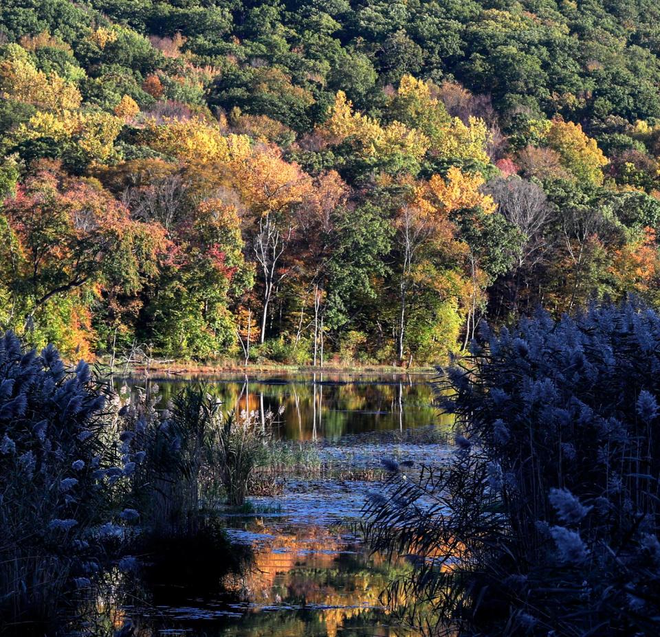 Sterling Forest State Park in Tuxedo on Wednesday, October 20, 2021. 