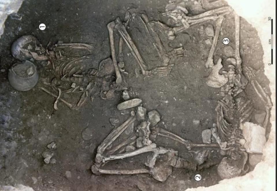 View taken from the upper part of the 255 storage pit showing the three skeletons, with one individual in a central position (Woman 256 1) and the other two placed under the overhang of the wall (Woman 2 and Woman 3) (Ludes et al., Sci. Adv. 10, eadl3374 (2024))