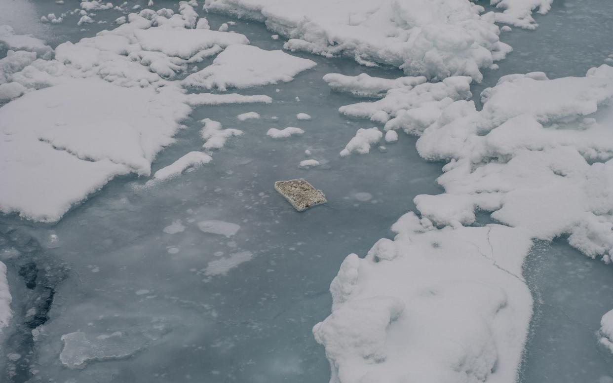 Scientists found plastic blocks floating in the Arctic Ocean - CONOR MCDONNELL ADMIN@CONORMCDONNELL.CO.UK
