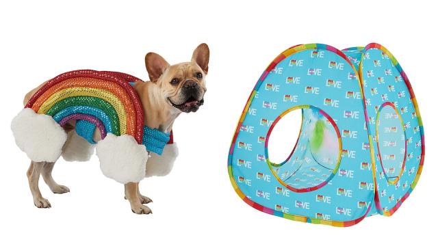 Shop the Pride collection at PetSmart.