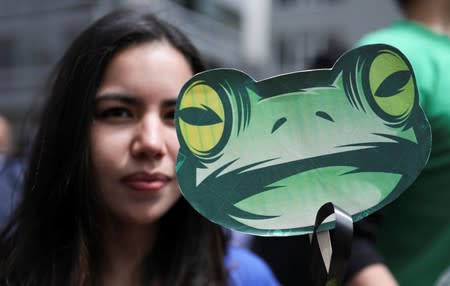 People protest outside the Brazilian embassy due to the wildfires in the Amazon rainforest, in Bogota