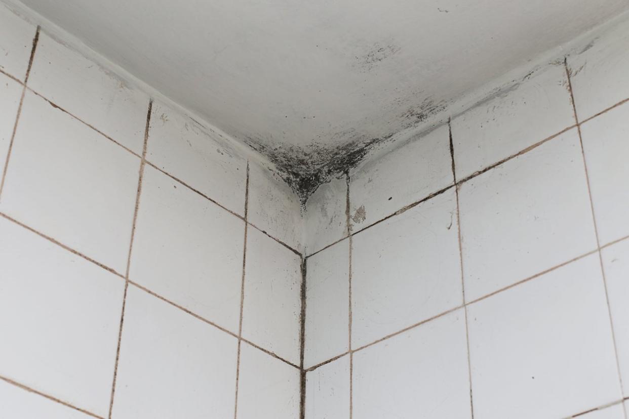 Bathroom tiles and ceiling with mold