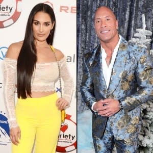 Nikki Bella Responds Backlash Over Support Book About The Rock