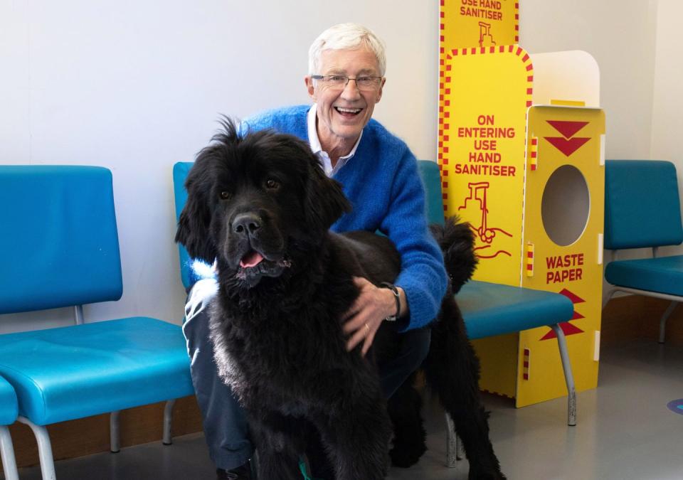 paul o'grady's for the love of dogs series 11 promo photo showing paul with a large rescue dog at battersea