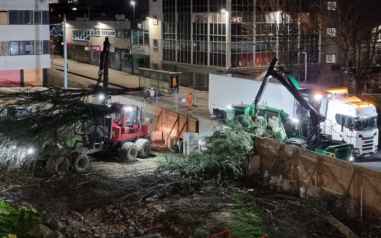 Council contractors felled more than 100 trees in a city centre before a court injunction won by protesters forced them to stop.The trees are being cut down in Plymouth city centre as part of a regeneration scheme that would see the planting of 169 new semi-mature trees - Seamus McCoy