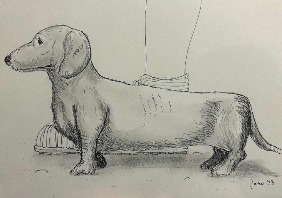 A sketch of what the 1,800-year-old “lap dog” might have looked like.