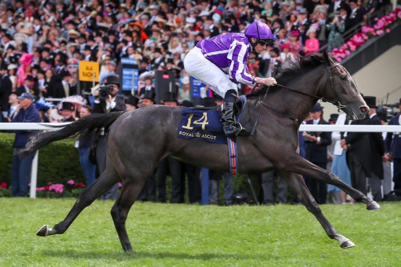 Bedtime Story wins Saturday's Chesham Stakes for 2-year-old fillies at Royal Ascot by 9 1/2 lengths. Photo by Megan Coggin/Ascot Racecourse