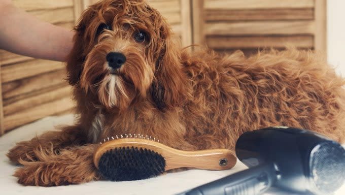 house fire hair dryer