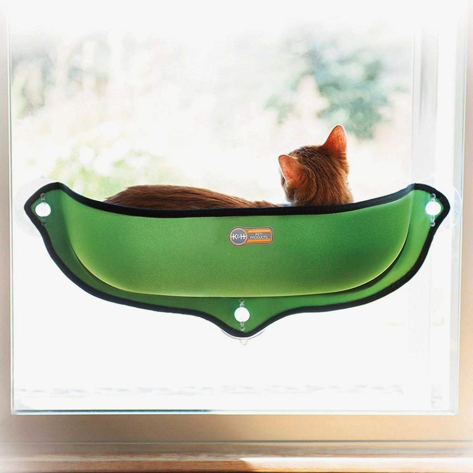 9) Window Pet Bed