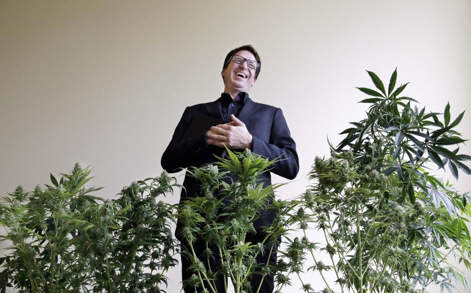 Daniel Curylo laughs while posing with some of the marijuana plants that he uses for marketing purposes in Seattle on Wednesday, Nov. 13, 2013. If legal pot is the Green Rush, Curylo has some unique credentials: He’s been an actual prospector. He helped put himself through college working for a company that flew him into northern British Columbia and the Yukon with a map, a compass and a heavy backpack. He’d pan for gold and take soil samples. Another source of income in those days? Growing and selling marijuana with a few other political science majors. A former techie and ex-house flipper, Curylo, 41, says his background in “business development and taking risks” is perfect for the legal pot world. He has invested $400,000 so far. His goal? A cannabis business park northwest of Olympia that would feature his growing operation, Cascade Crops, as well as retail stores run by his mother, father and aunt. (AP Photo/Elaine Thompson)