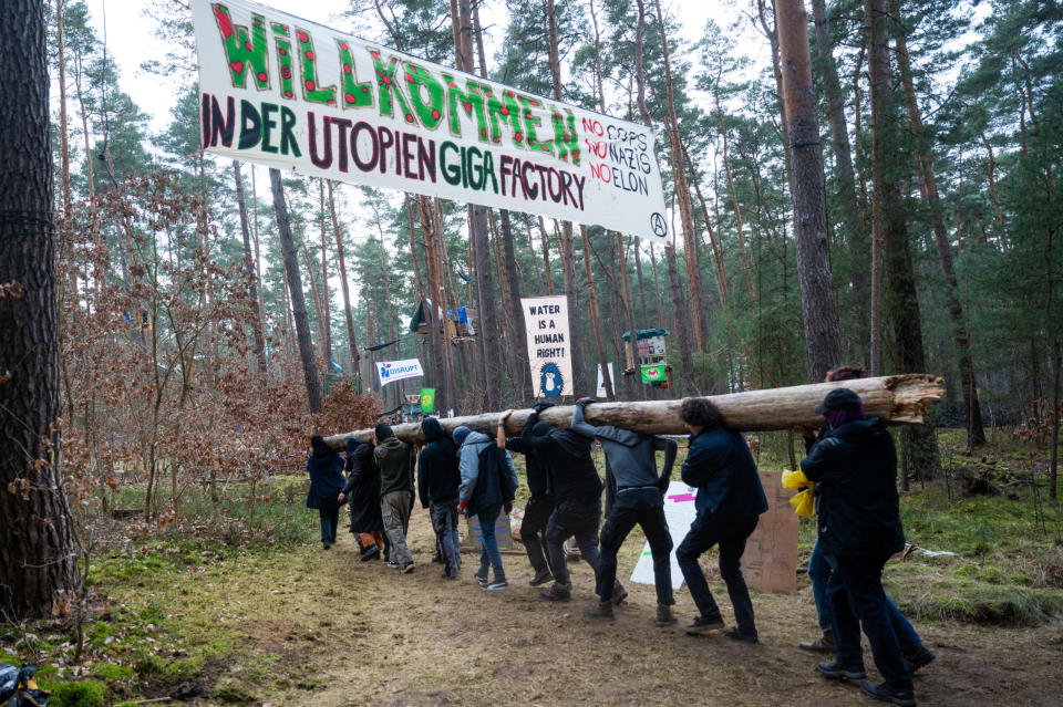 Aktivisten tragen einen Baumstamm im "Tesla stoppen"-Protestcamp. - Copyright: picture alliance/dpa | Christophe Gateau