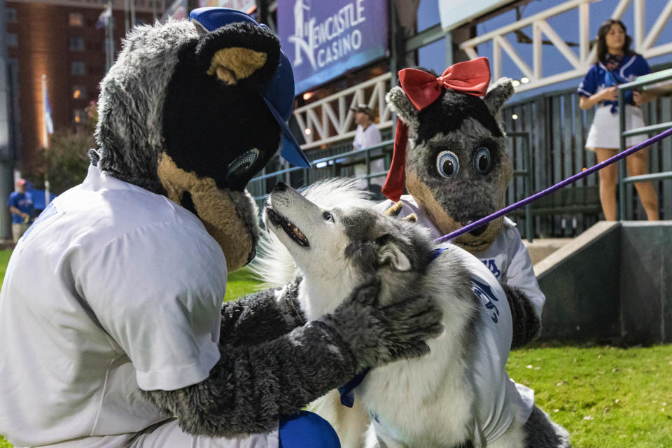 Mya meets Brooklyn and Brix as Dodger fans bring their dogs to the ballpark during "Bark in the Park" as the Oklahoma City Dodgers play the Salt Lake Bees at Chickasaw Bricktown Ballpark in Oklahoma City on Wednesday, Sept. 28, 2022.