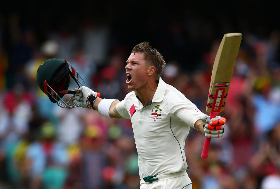 David Warner celebrates