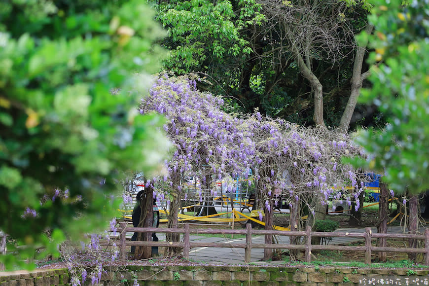 桃園｜大湖紀念公園